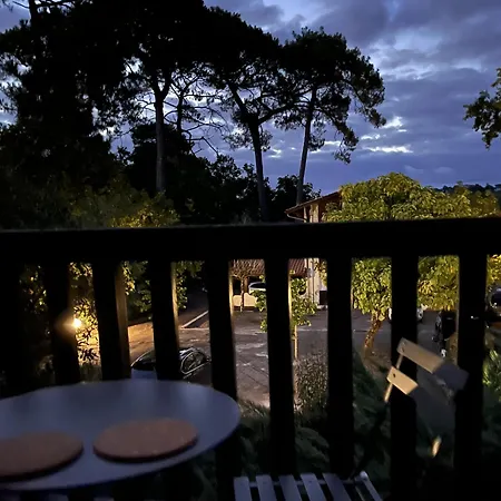 Le Parc Pereire Parking Wifi * Аркашон